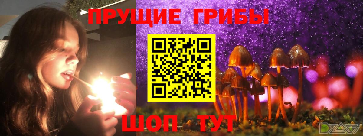Урай  Псилоцибиновые грибы Psilocybe  Псилоцибиновые грибы мухоморы  Вход с VPN 